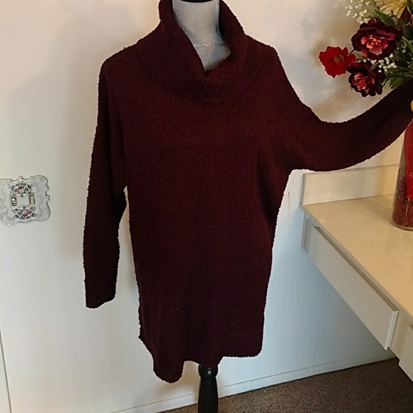 Terra & Sky Sweaters - Cowl neck sweater